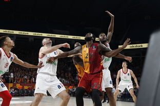 拜仁慕尼黑引援新目标浮现，马尔穆什与谢什科或将加盟，替补席上期待一鸣惊人