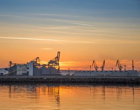 奥斯卡或年底告别上海海港,巴西媒体曝名将离队传闻 奥斯卡或年底告别上海海港,巴西媒体曝名将离队传闻